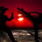 Muay Thai Games and Muay Thai in the Media
