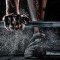 Muay Thai Gyms – United States