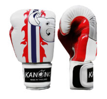 Thai Boxing Gloves