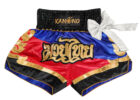 Muay Thai Shorts with ribbon